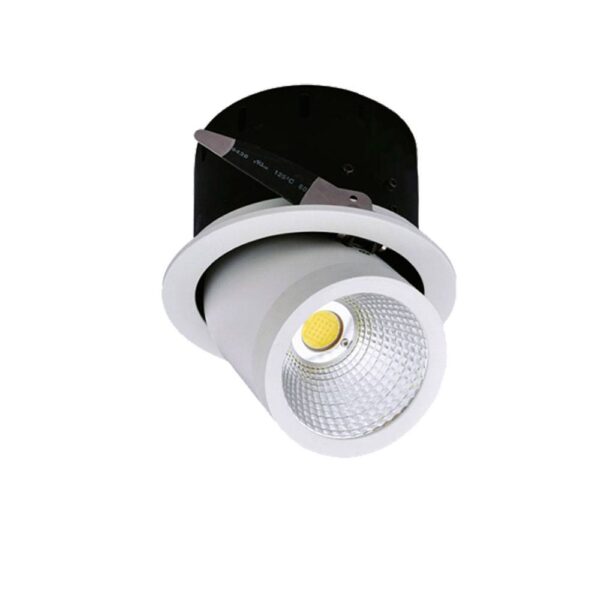 35W LED COB DOWNLIGHT, ROTATABLE WHITE LIGHT (OPTONICA)