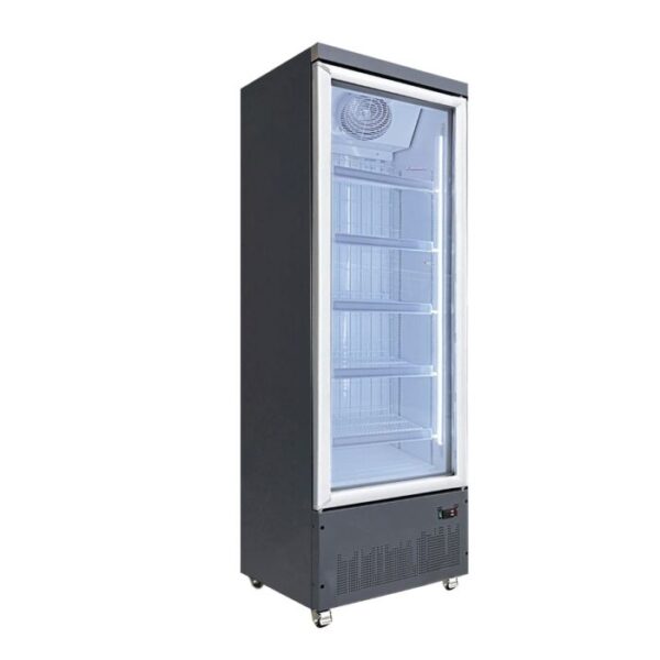 Commercial Upright One Door Freezer Poli 62cm